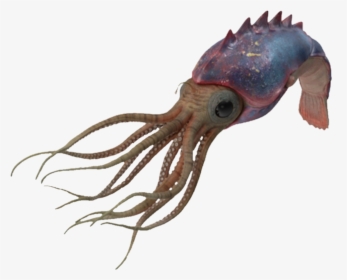 #squid #ocean #fish #underthesea, HD Png Download, Transparent PNG