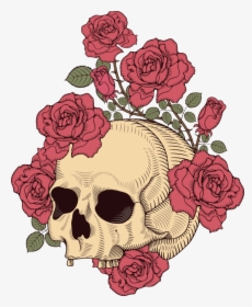 And Skull Rose Illustration T-shirt Design Human Clipart - Skull And Rose Transparent, HD Png Download, Transparent PNG