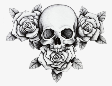 #skull #flower #rose #dead - Skull And Rose Drawing, HD Png Download, Transparent PNG