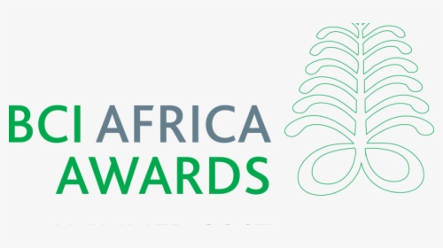 Three Awards Consolidate Continuitysa As African Leader - Graphic Design, HD Png Download, Transparent PNG