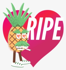 Pineapple - Illustration, HD Png Download, Transparent PNG
