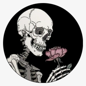 #skeleton #skull #rose #roses #skeletons #skulls #grunge - Deathly Skeleton, HD Png Download, Transparent PNG