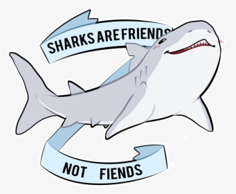 Sharks Are Friends Not Fiends, HD Png Download, Transparent PNG