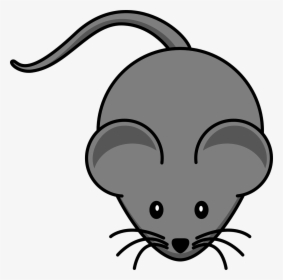 Mouse Gray, HD Png Download, Transparent PNG
