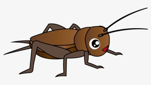 Cricket Insect Clipart Png - Insect Clipart Png, Transparent Png, Transparent PNG