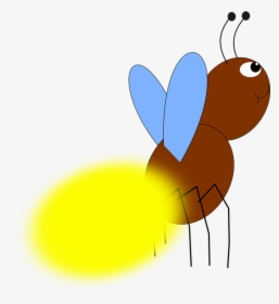 Firefly, Beetle, Forest, Insect, Foliage, Green, Nature - Firefly, HD Png Download, Transparent PNG