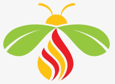 Firefly Logo 800, HD Png Download, Transparent PNG
