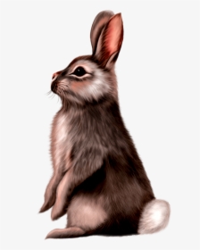 Cute Animals Png - Rabbit Painting Png, Transparent Png, Transparent PNG