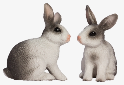 Two Rabbits Png Image - Rabbit, Transparent Png, Transparent PNG