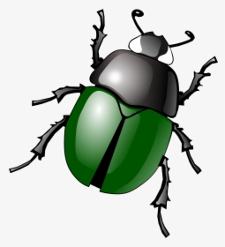 Bug Png Image - Beetle Clipart, Transparent Png, Transparent PNG