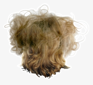 Messy Hair Transparent Background, HD Png Download , Transparent Png Image  - PNGitem