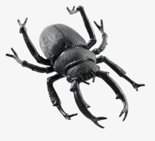 Black Beetle Transparent Images Png - Escaravelho Png, Png Download, Transparent PNG