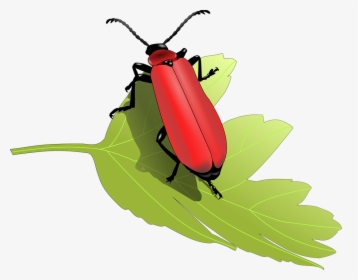 Transparent Cardinal Clipart - Insects On A Tree Clip Art, HD Png Download, Transparent PNG
