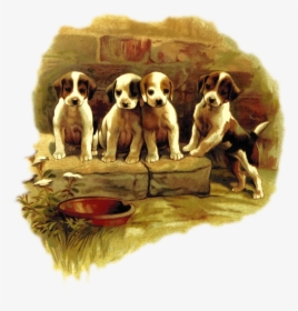 Puppy Love,carnivoran,dog - Puppy, HD Png Download, Transparent PNG