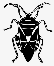 Lightning Bug Buddy Clipart, Vector Clip Art Online, - Free Clipart Black And White Bug, HD Png Download, Transparent PNG