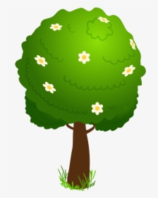 Cartoon Deco Tree Png Clipart Kid Clipart Image - Cartoon Transparent Tree Png, Png Download, Transparent PNG
