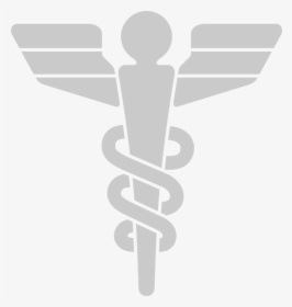 Transparent Medical Clipart - Star Trek Medical Logo, HD Png Download, Transparent PNG