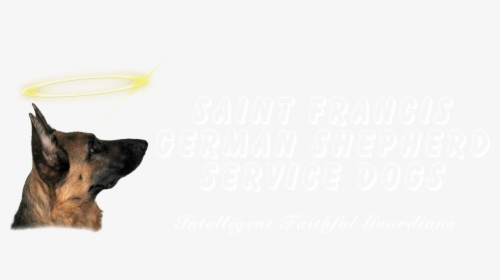 German Shepherd Service Dog, HD Png Download, Transparent PNG