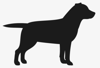 Labrador Retriever Puppy Dog Breed Golden Retriever - Black Labrador Transparent Background, HD Png Download, Transparent PNG