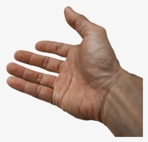 Hand Reaching Out Png, Transparent Png, Transparent PNG