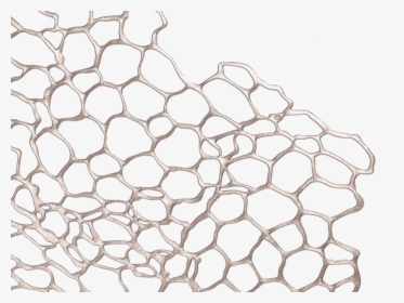 Sea Lace Placemat In Gunmetal - Chilewich Tischset Sea Lace, HD Png Download, Transparent PNG