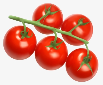 Cherry Tomato Clipart Cute - Vitamins Class Of Foods, HD Png Download, Transparent PNG