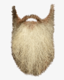 Beard Clip Art - Long Beard Transparent Background, HD Png Download, Transparent PNG