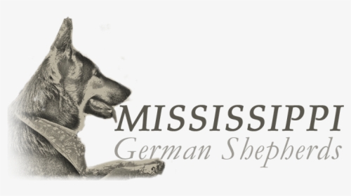Mississippi German Shepherds - Old German Shepherd Dog, HD Png Download, Transparent PNG