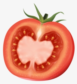 Tomato Clip Vegetable - Plum Tomato, HD Png Download, Transparent PNG