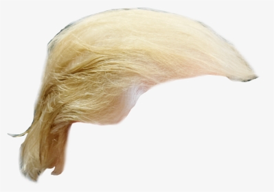 Donald Trump Hair Png, Transparent Png, Transparent PNG