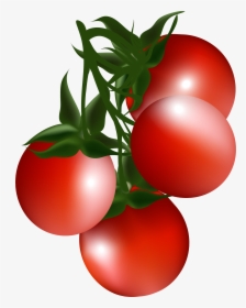 Cherry Tomato Clip Art Cartoon Red - Tomato Plant Clipart Transparent, HD Png Download, Transparent PNG