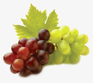Grape Seed Extracts Gif, HD Png Download, Transparent PNG