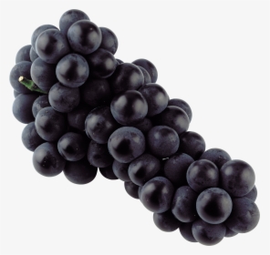 Grapes, Isolated Blue Grape Transparent Png Stickpng - Black Grapes Png, Png Download, Transparent PNG