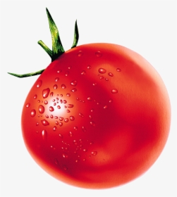 Tomato, HD Png Download, Transparent PNG