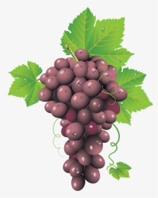 Red Grapes Png Image - Grape Clusters Png, Transparent Png, Transparent PNG