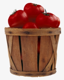 Free Download Of Tomato Png Picture - Tomato In Bucket Png, Transparent Png, Transparent PNG