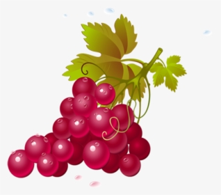 Red Grapes Clip Art, HD Png Download, Transparent PNG