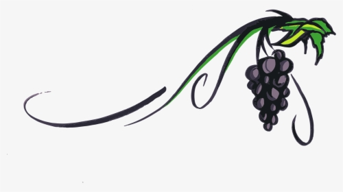 Grapevine Clipart Red Grape - Wine Grape Clip Art, HD Png Download, Transparent PNG