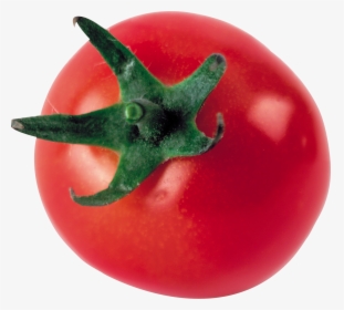 One Tomato Png, Transparent Png, Transparent PNG