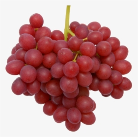 Transparent Grapes Red Seeded - Us Scarlet Seedless Grape, HD Png Download, Transparent PNG