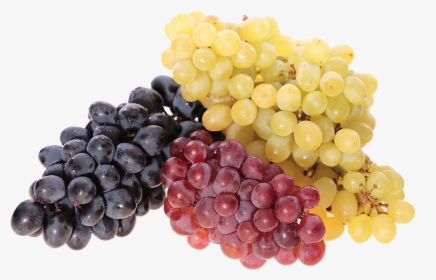 Kisspng Common Grape Vine Juice Wine Berry Red Grape - Полезные Свойства Винограда, Transparent Png, Transparent PNG