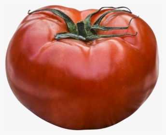 Dreaming Tomatoes, HD Png Download, Transparent PNG