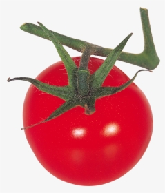 Thirty Eight Isolated Stock - Plum Tomato, HD Png Download, Transparent PNG