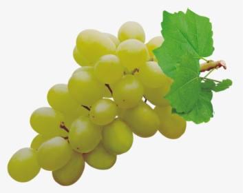 Grapes Png Pic - Grapes Png, Transparent Png, Transparent PNG