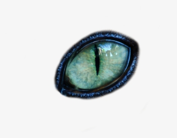 Reptile Eye Png - Transparent Cat Eye Png, Png Download, Transparent PNG