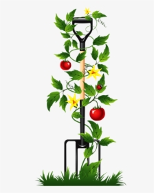 Tomatoes Clipart Tomato Tree - Poem For Gardeners Funeral, HD Png Download, Transparent PNG