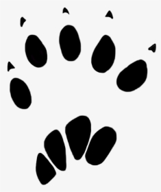 Rabbit Vector Foot Print - Animal Track, HD Png Download, Transparent PNG