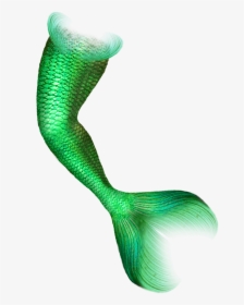 Mermaid Png Download - Mermaid Tail Transparent, Png Download, Transparent PNG