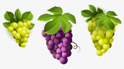 Grape Clipart Png Image - Green Grapes Clip Art, Transparent Png, Transparent PNG