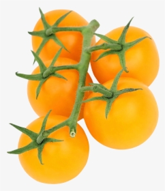 Yellow Tomato Png Transparent Image - Yellow Tomato Png, Png Download, Transparent PNG